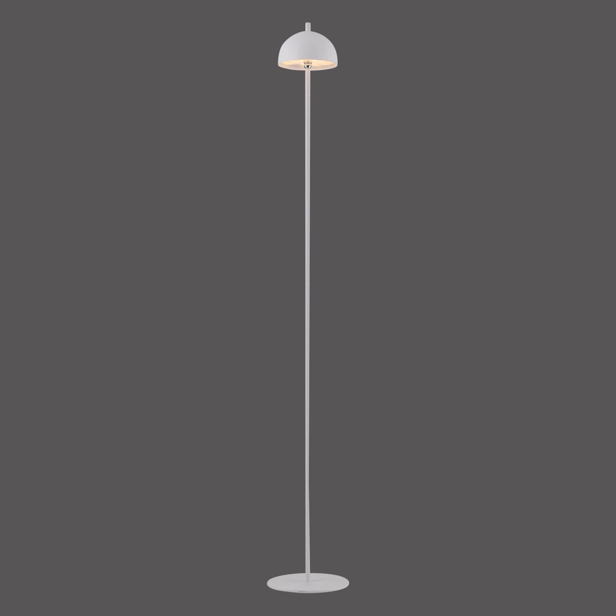 Zuma Line Bellis Floor Lamp Biay - 19245-16