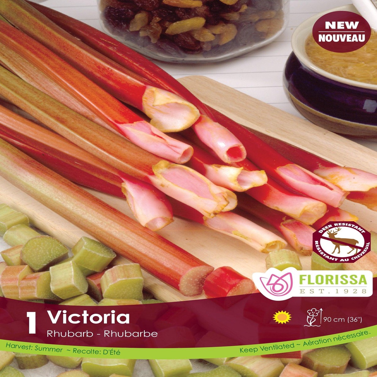 Rhubarb Victoria 1/PK