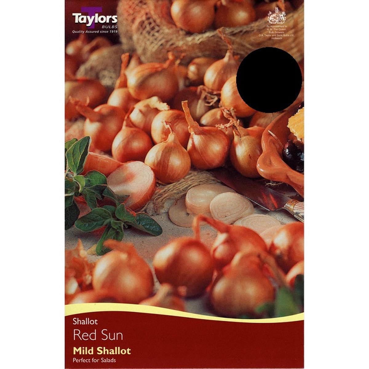 VALUE SHALLOT RED SUN 20