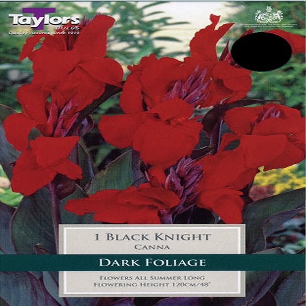 1 CANNA BLACK KNIGHT I