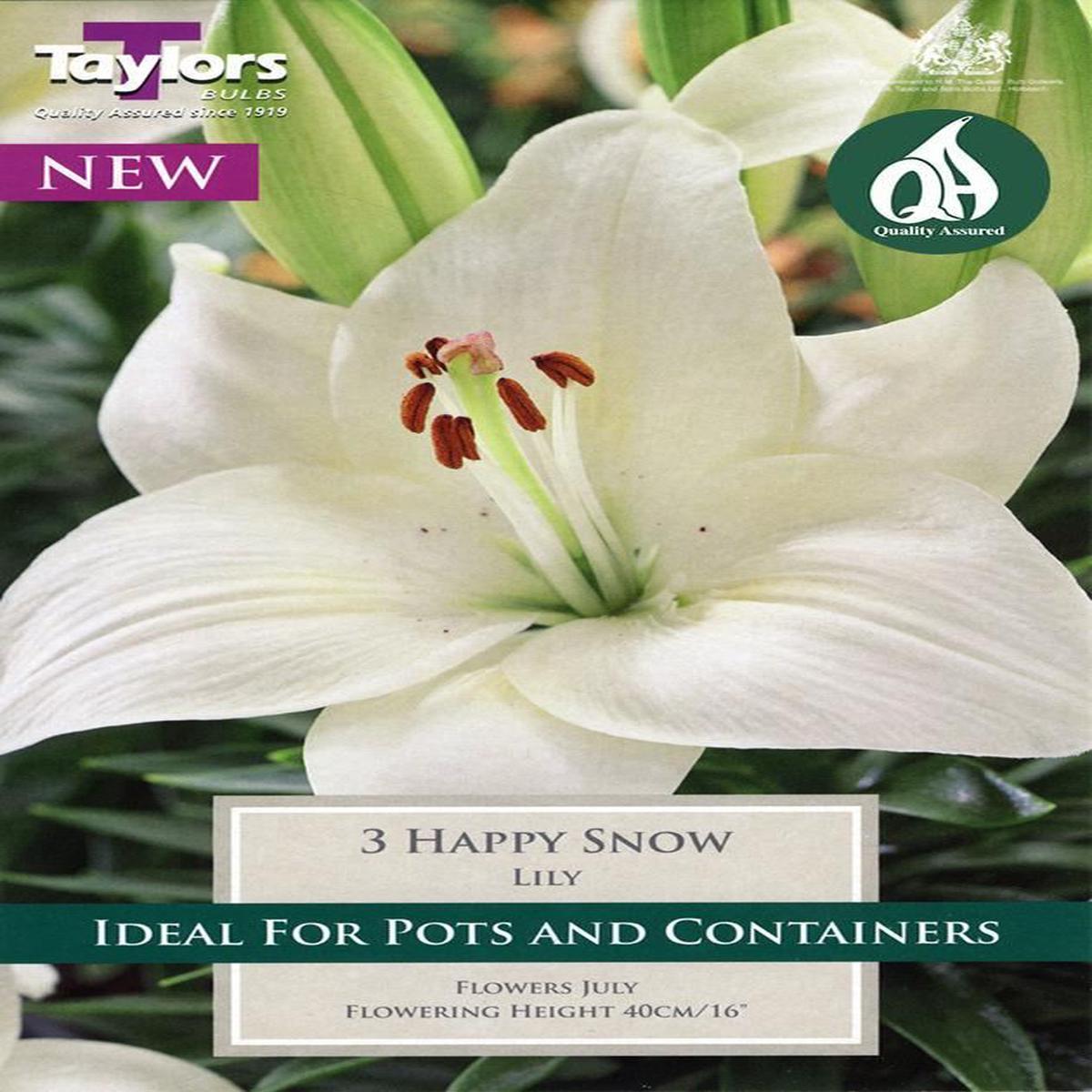 3 LILY HAPPY SNOW 12-14