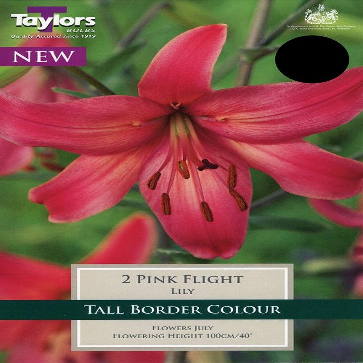 2 LILY PINK FLIGHT 14-16