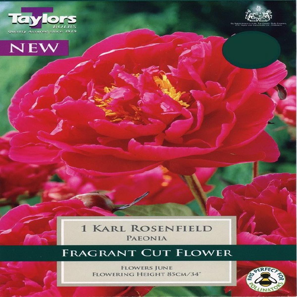 1 PAEONIA KARL ROSENFELD 2-3 EYES