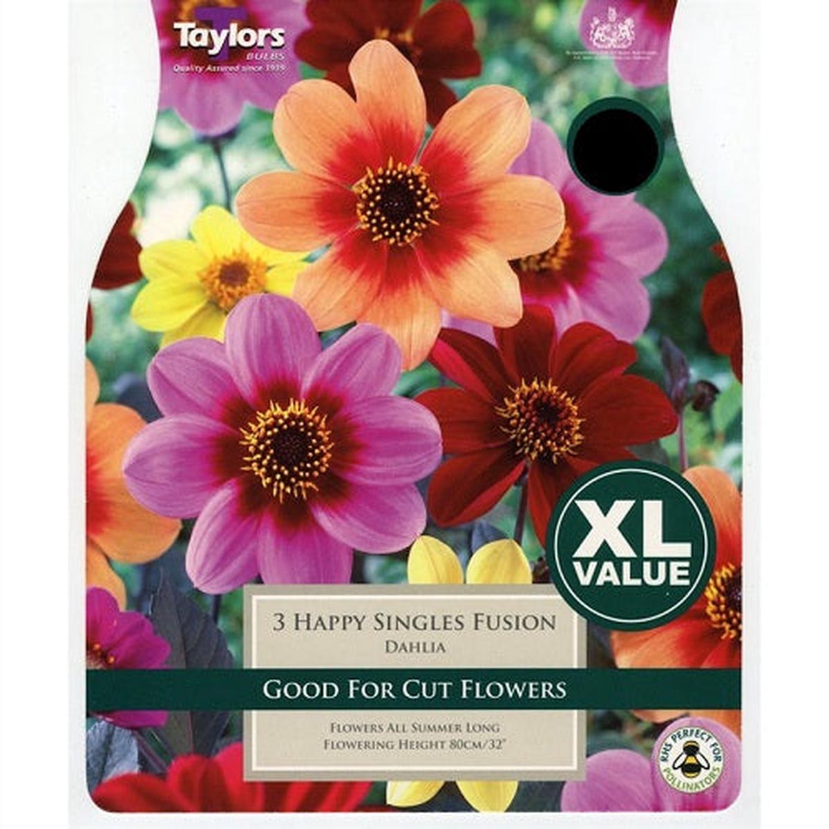 3 DAHLIA HAPPY SINGLES FUSION