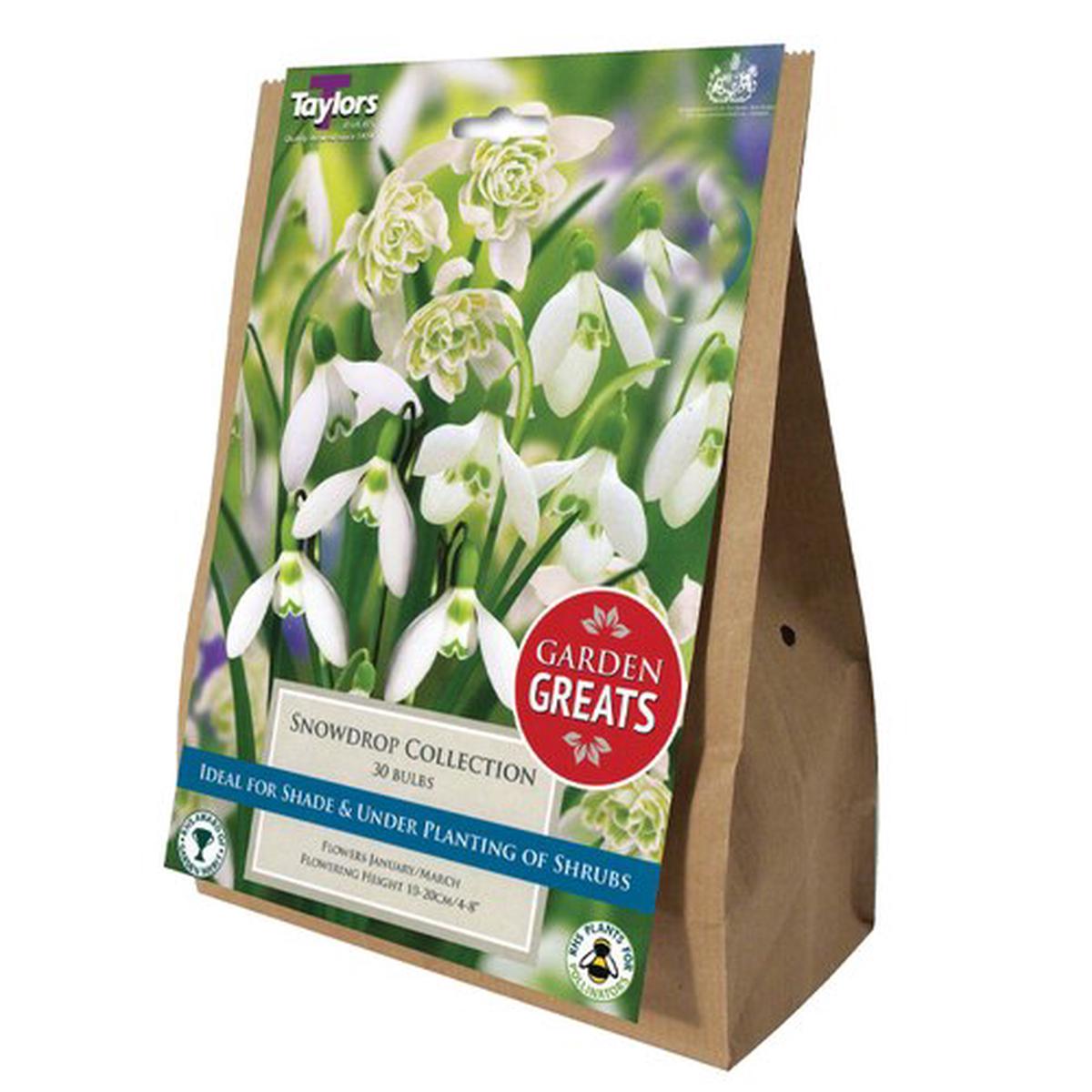 30 SNOWDROP COLLECTION PREPACK