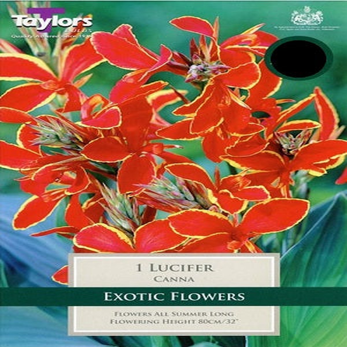 1 CANNA LUCIFER I