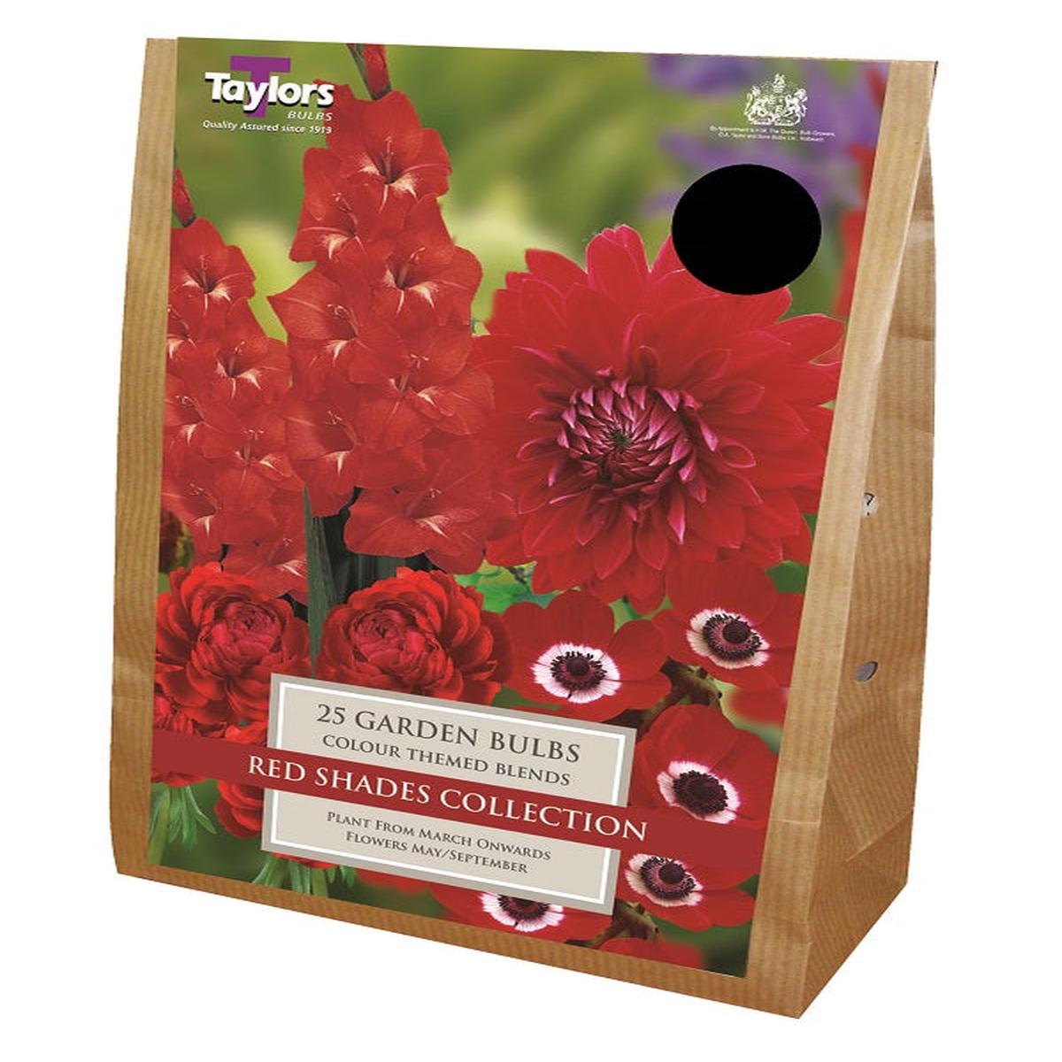 25 RED SHADES COLLECTION