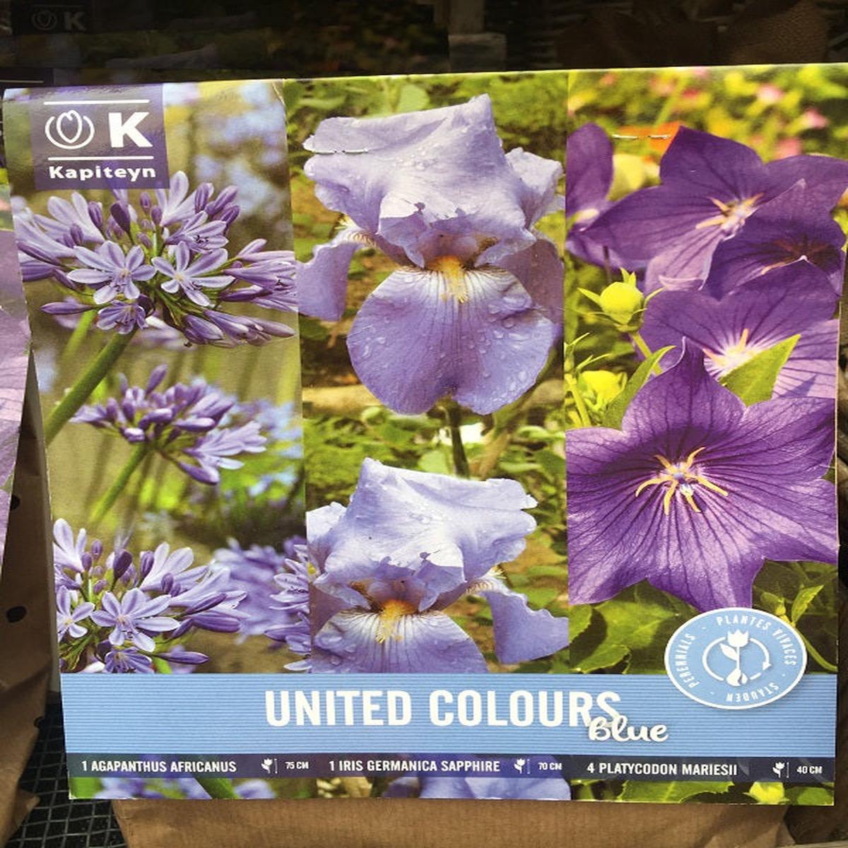 United Colours Blue