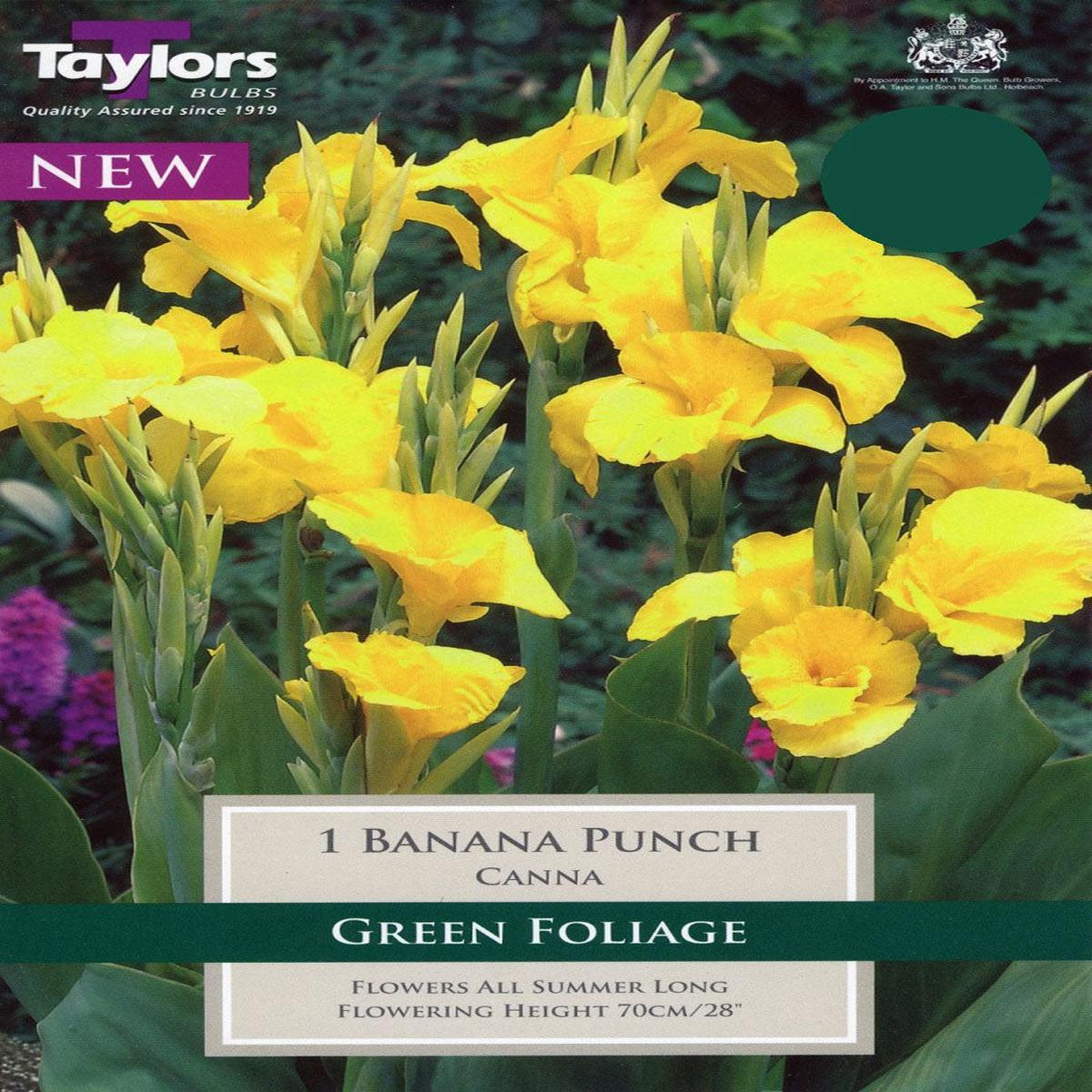 1 Canna Banana Punch