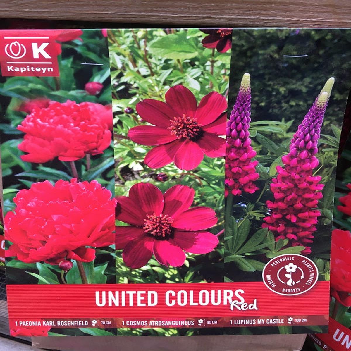 United Colours Red