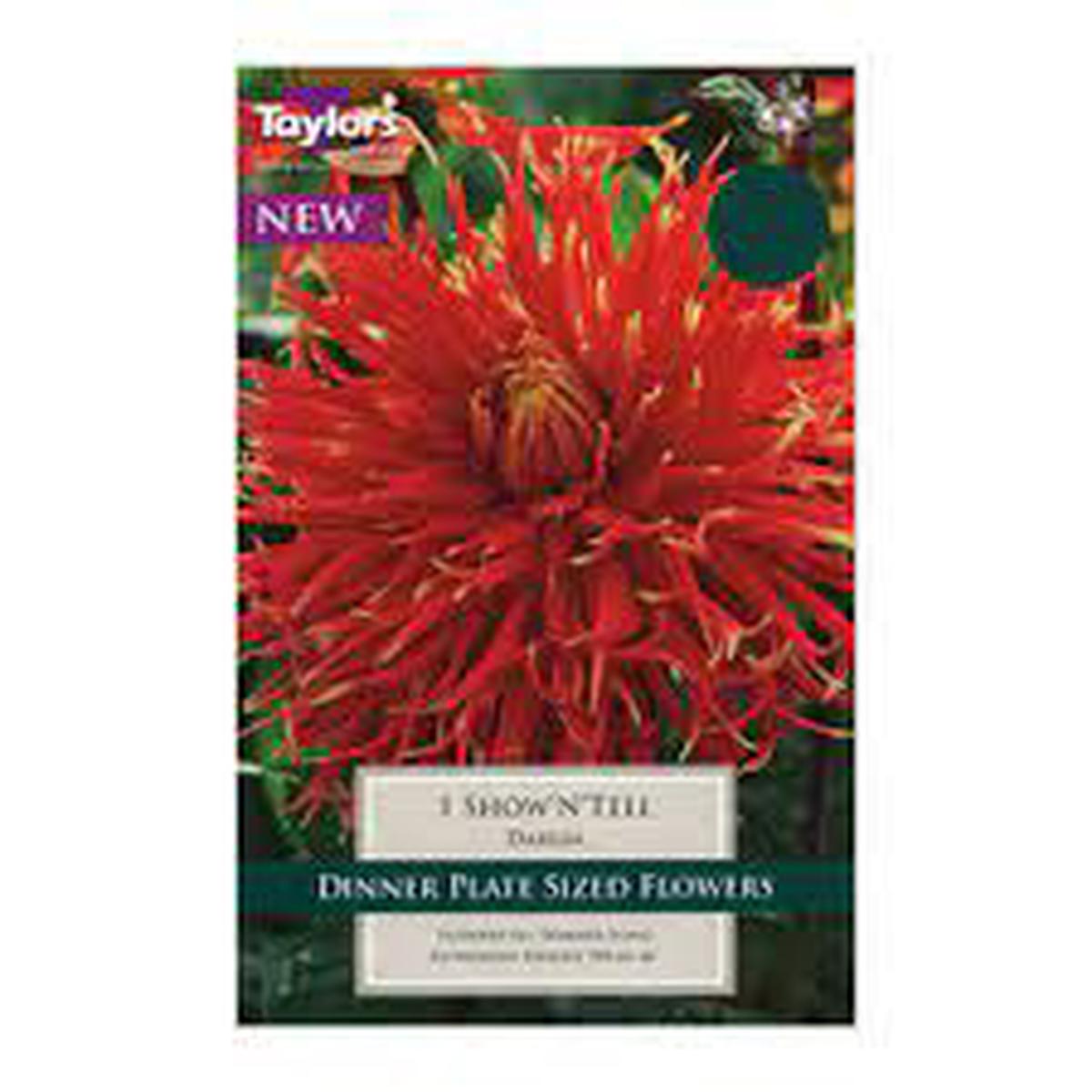 1 DAHLIA SHOW'N'TELL I