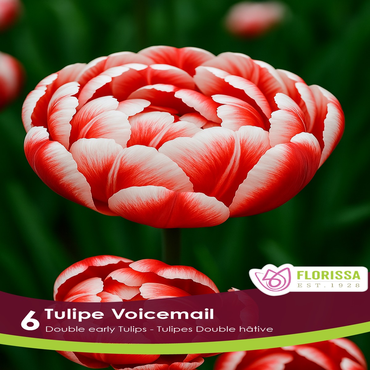 Voicemail Tulip