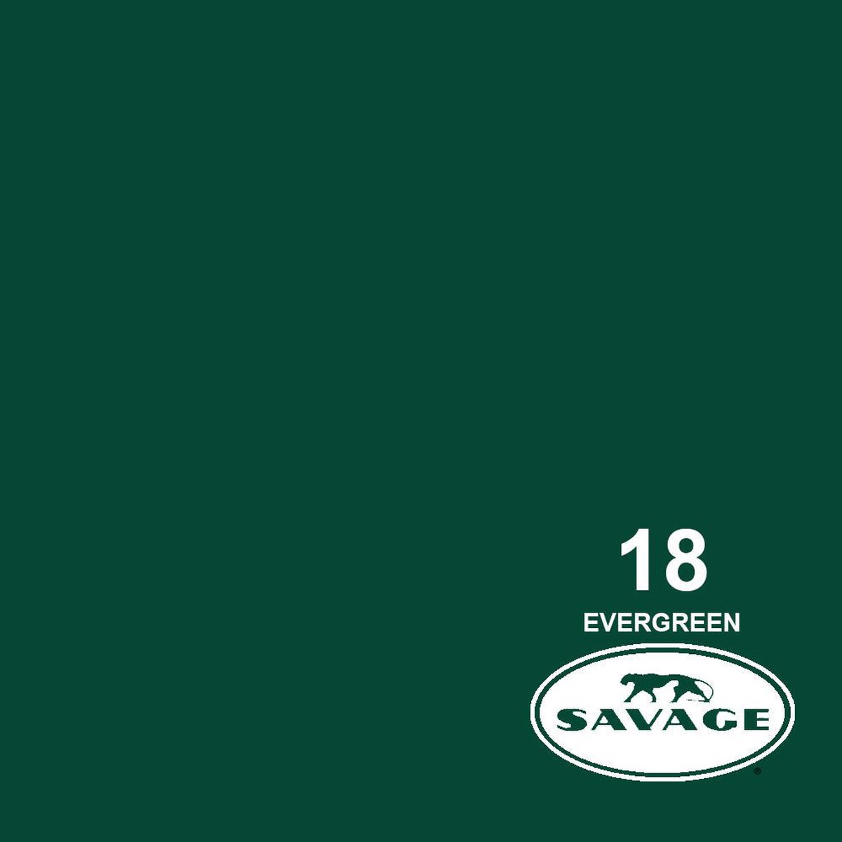 Savage 53"x12 Yards Seamless Paper Background - Evergreen