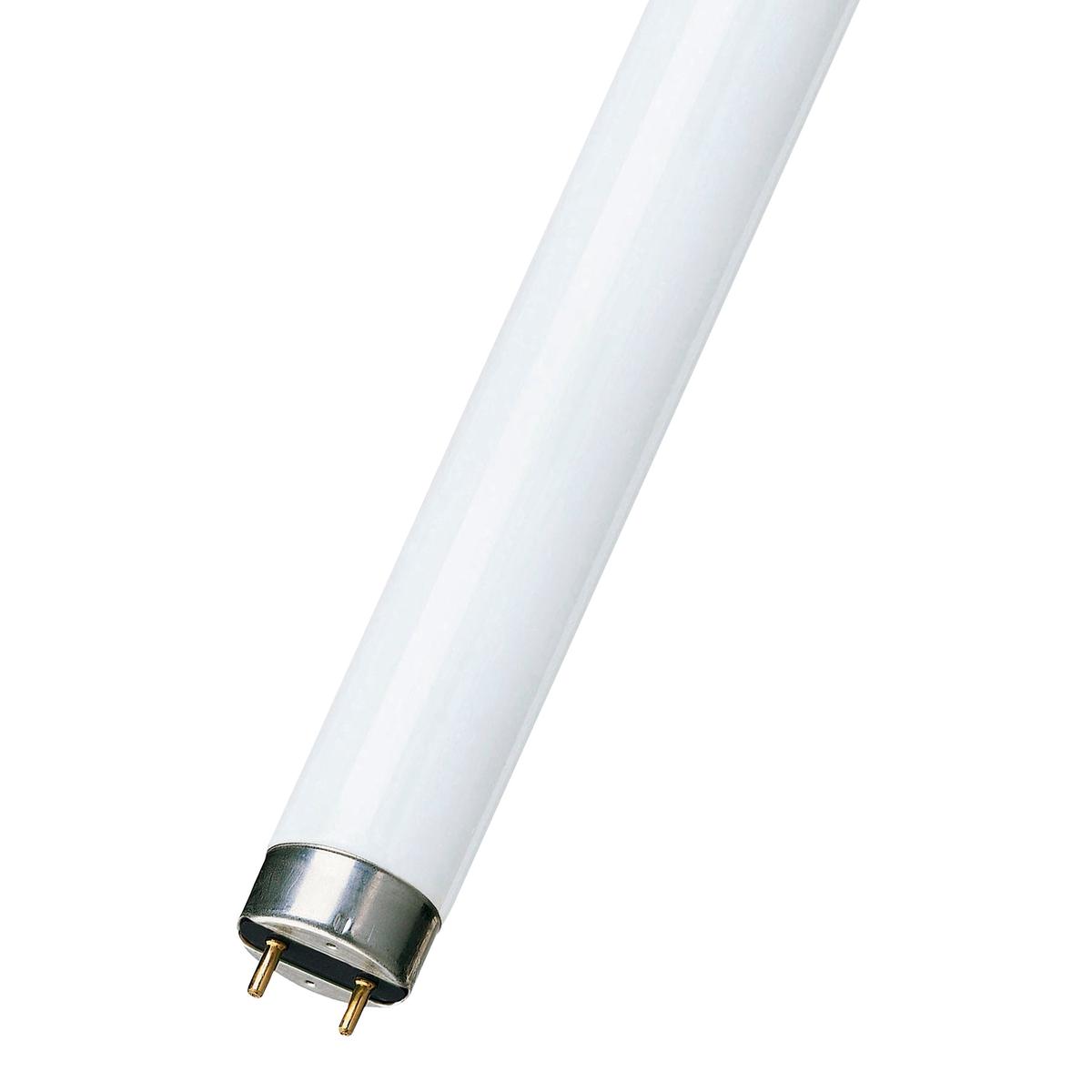 Bailey - FT036965GRA/01 - MASTER TL-D 90 Graphica 36W/965 SLV/10