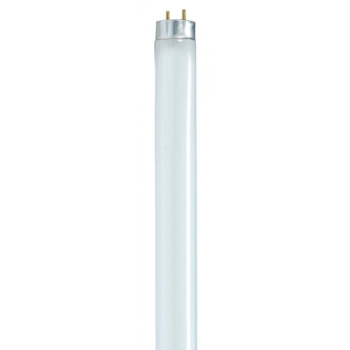 Satco Cool White T8 Fluorescent Medium Bi Pin Base Bulb
